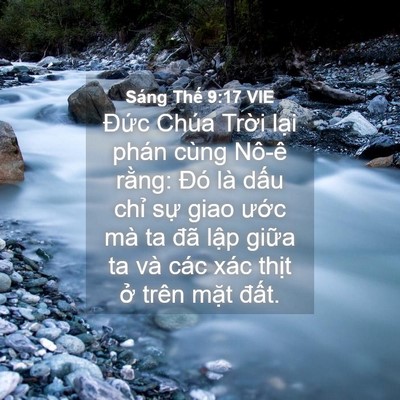 Picture 04 - Sáng Thế 9:17 VIE - Đức Chúa Trời lại phán cùng Nô-ê - Bible Verse Picture