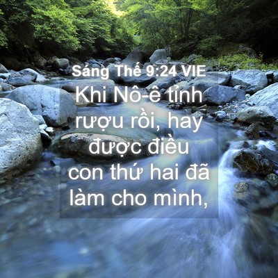 Picture 04 - Sáng Thế 9:24 VIE - Khi Nô-ê tỉnh rượu rồi, hay được - Bible Verse Picture