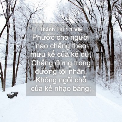 Picture 04 - Thánh Thi 1:1 VIE - Phước cho người nào chẳng theo mưu kế - Bible Verse Picture