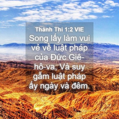 Picture 04 - Thánh Thi 1:2 VIE - Song lấy làm vui vẻ về luật pháp của - Bible Verse Picture
