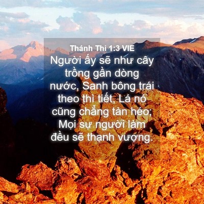 Picture 04 - Thánh Thi 1:3 VIE - Người ấy sẽ như cây trồng gần dòng - Bible Verse Picture