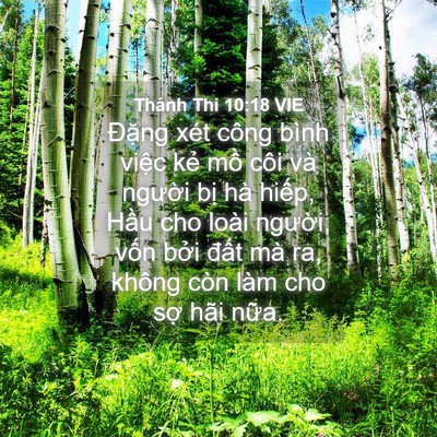 Picture 04 - Thánh Thi 10:18 VIE - Đặng xét công bình việc kẻ mồ côi - Bible Verse Picture