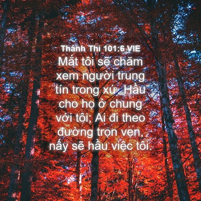 Picture 04 - Thánh Thi 101:6 VIE - Mắt tôi sẽ chăm xem người trung tín - Bible Verse Picture