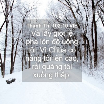 Picture 04 - Thánh Thi 102:10 VIE - Và lấy giọt lệ pha lộn đồ uống - Bible Verse Picture