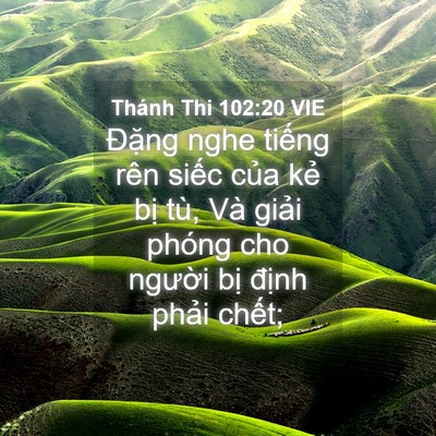 Picture 04 - Thánh Thi 102:20 VIE - Đặng nghe tiếng rên siếc của kẻ bị - Bible Verse Picture