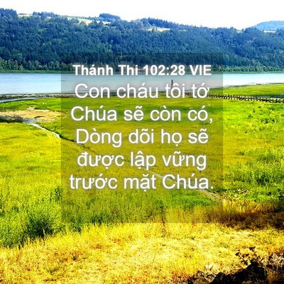 Picture 04 - Thánh Thi 102:28 VIE - Con cháu tôi tớ Chúa sẽ còn có, Dòng - Bible Verse Picture