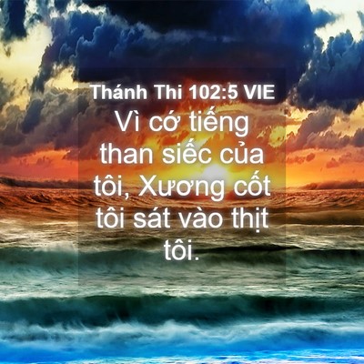 Picture 04 - Thánh Thi 102:5 VIE - Vì cớ tiếng than siếc của tôi, Xương - Bible Verse Picture