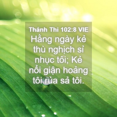 Picture 04 - Thánh Thi 102:8 VIE - Hằng ngày kẻ thù nghịch sỉ nhục tôi; - Bible Verse Picture