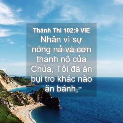 Picture 04 - Thánh Thi 102:9 VIE - Nhân vì sự nóng nả và cơn thạnh nộ - Bible Verse Picture