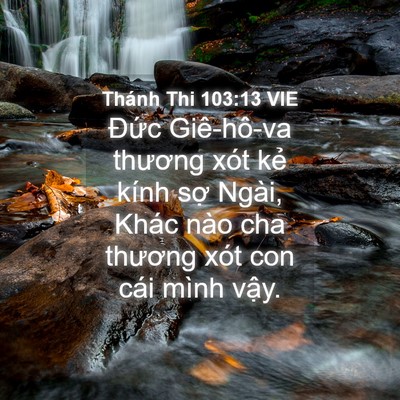 Picture 04 - Thánh Thi 103:13 VIE - Đức Giê-hô-va thương xót kẻ kính sợ - Bible Verse Picture