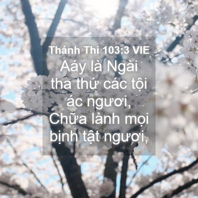 Picture 04 - Thánh Thi 103:3 VIE - Aáy là Ngài tha thứ các tội ác ngươi, - Bible Verse Picture