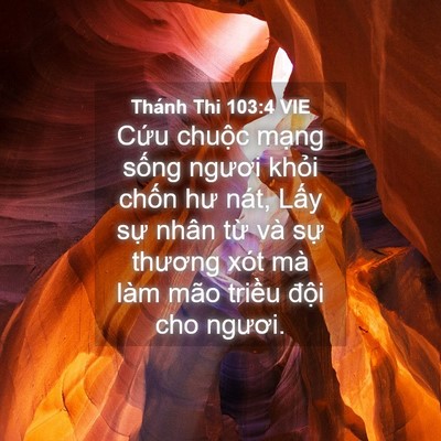 Picture 04 - Thánh Thi 103:4 VIE - Cứu chuộc mạng sống ngươi khỏi chốn - Bible Verse Picture