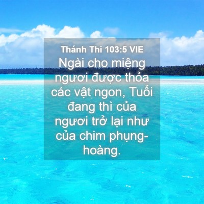 Picture 04 - Thánh Thi 103:5 VIE - Ngài cho miệng ngươi được thỏa các - Bible Verse Picture