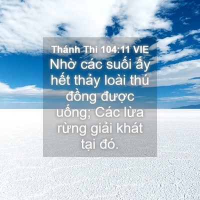 Picture 04 - Thánh Thi 104:11 VIE - Nhờ các suối ấy hết thảy loài thú - Bible Verse Picture