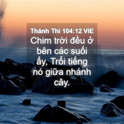 Picture 04 - Thánh Thi 104:12 VIE - Chim trời đều ở bên các suối ấy, - Bible Verse Picture