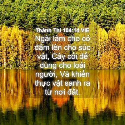 Picture 04 - Thánh Thi 104:14 VIE - Ngài làm cho cỏ đâm lên cho súc vật, - Bible Verse Picture
