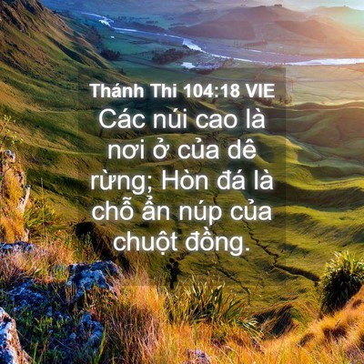 Picture 04 - Thánh Thi 104:18 VIE - Các núi cao là nơi ở của dê rừng; Hòn - Bible Verse Picture