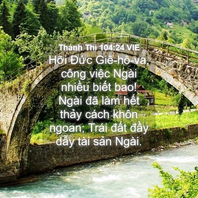 Picture 04 - Thánh Thi 104:24 VIE - Hỡi Đức Giê-hô-va, công việc Ngài - Bible Verse Picture
