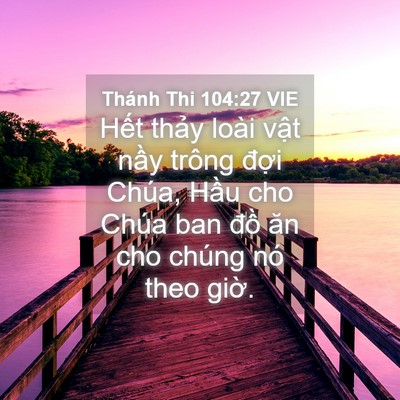 Picture 04 - Thánh Thi 104:27 VIE - Hết thảy loài vật nầy trông đợi - Bible Verse Picture