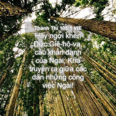 Picture 04 - Thánh Thi 105:1 VIE - Hãy ngợi khen Đức Giê-hô-va, cầu khẩn - Bible Verse Picture