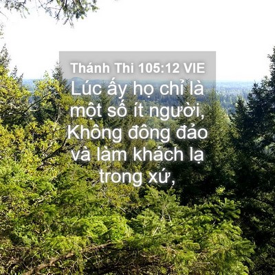 Picture 04 - Thánh Thi 105:12 VIE - Lúc ấy họ chỉ là một số ít người, - Bible Verse Picture