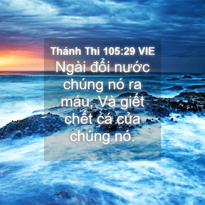 Picture 04 - Thánh Thi 105:29 VIE - Ngài đổi nước chúng nó ra máu, Và - Bible Verse Picture