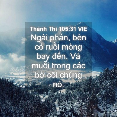 Picture 04 - Thánh Thi 105:31 VIE - Ngài phán, bèn có ruồi mòng bay đến, - Bible Verse Picture