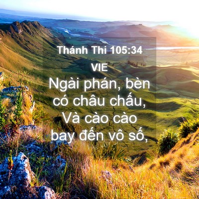 Picture 04 - Thánh Thi 105:34 VIE - Ngài phán, bèn có châu chấu, Và cào cào - Bible Verse Picture