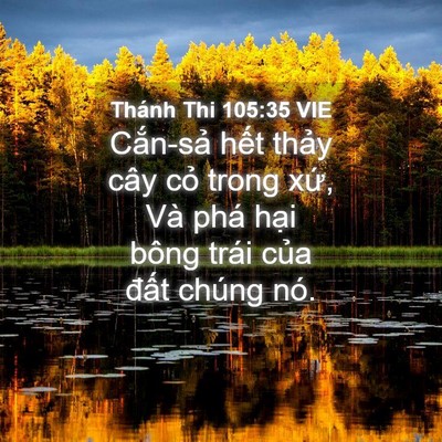 Picture 04 - Thánh Thi 105:35 VIE - Cắn-sả hết thảy cây cỏ trong xứ, Và - Bible Verse Picture