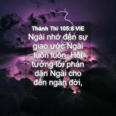 Picture 04 - Thánh Thi 105:8 VIE - Ngài nhớ đến sự giao ước Ngài luôn - Bible Verse Picture