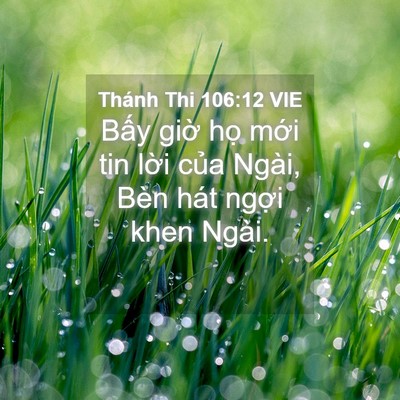 Picture 04 - Thánh Thi 106:12 VIE - Bấy giờ họ mới tin lời của Ngài, - Bible Verse Picture