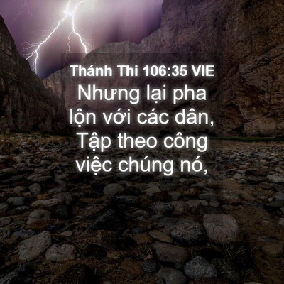 Picture 04 - Thánh Thi 106:35 VIE - Nhưng lại pha lộn với các dân, Tập - Bible Verse Picture