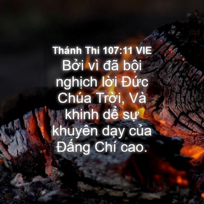 Picture 04 - Thánh Thi 107:11 VIE - Bởi vì đã bội nghịch lời Đức Chúa - Bible Verse Picture