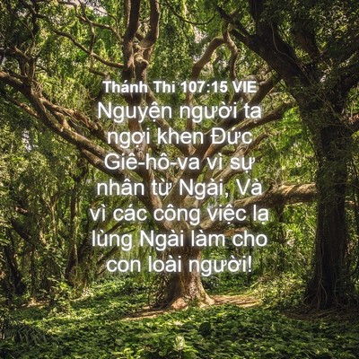 Picture 04 - Thánh Thi 107:15 VIE - Nguyện người ta ngợi khen Đức - Bible Verse Picture