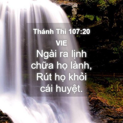 Picture 04 - Thánh Thi 107:20 VIE - Ngài ra lịnh chữa họ lành, Rút họ - Bible Verse Picture