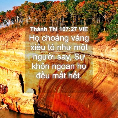 Picture 04 - Thánh Thi 107:27 VIE - Họ choáng váng xiêu tó như một người - Bible Verse Picture