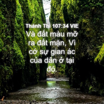 Picture 04 - Thánh Thi 107:34 VIE - Và đất màu mỡ ra đất mặn, Vì cớ - Bible Verse Picture