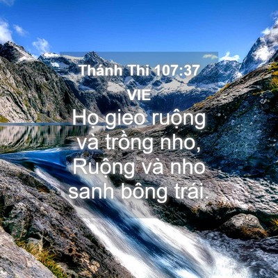 Picture 04 - Thánh Thi 107:37 VIE - Họ gieo ruộng và trồng nho, Ruộng và - Bible Verse Picture