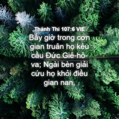 Picture 04 - Thánh Thi 107:6 VIE - Bấy giờ trong cơn gian truân họ kêu - Bible Verse Picture