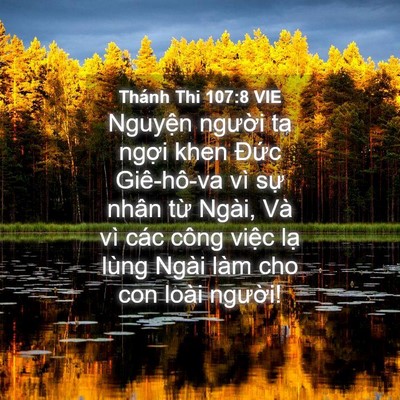 Picture 04 - Thánh Thi 107:8 VIE - Nguyện người ta ngợi khen Đức - Bible Verse Picture