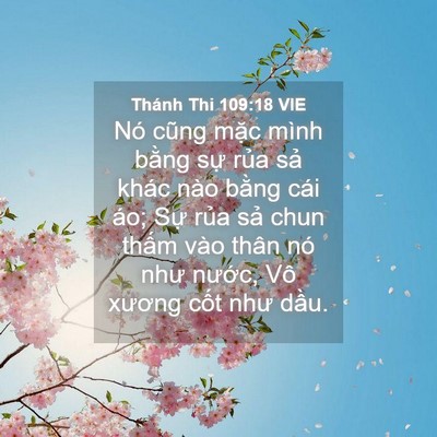 Picture 04 - Thánh Thi 109:18 VIE - Nó cũng mặc mình bằng sự rủa sả - Bible Verse Picture