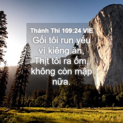 Picture 04 - Thánh Thi 109:24 VIE - Gối tôi run yếu vì kiêng ăn, Thịt tôi - Bible Verse Picture