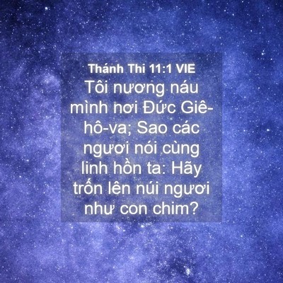 Picture 04 - Thánh Thi 11:1 VIE - Tôi nương náu mình nơi Đức Giê-hô-va; - Bible Verse Picture