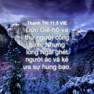Picture 04 - Thánh Thi 11:5 VIE - Đức Giê-hô-va thử người công bình; - Bible Verse Picture