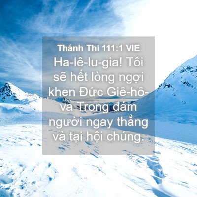 Picture 04 - Thánh Thi 111:1 VIE - Ha-lê-lu-gia! Tôi sẽ hết lòng ngợi khen - Bible Verse Picture