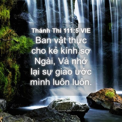 Picture 04 - Thánh Thi 111:5 VIE - Ban vật thực cho kẻ kính sợ Ngài, Và - Bible Verse Picture