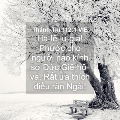 Picture 04 - Thánh Thi 112:1 VIE - Ha-lê-lu-gia! Phước cho người nào kính - Bible Verse Picture
