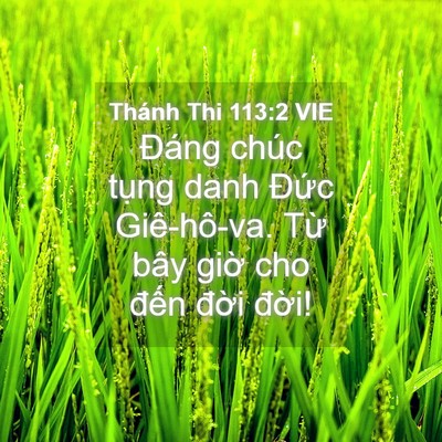 Picture 04 - Thánh Thi 113:2 VIE - Đáng chúc tụng danh Đức Giê-hô-va. Từ - Bible Verse Picture