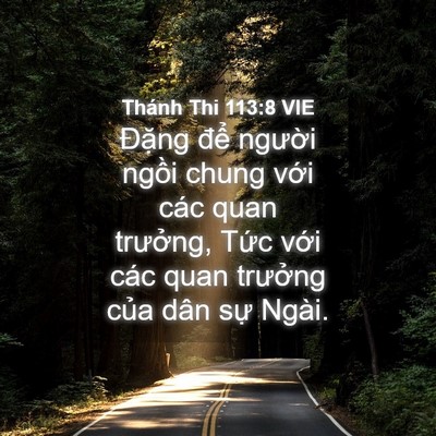 Picture 04 - Thánh Thi 113:8 VIE - Đặng để người ngồi chung với các - Bible Verse Picture