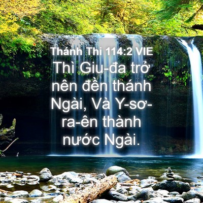 Picture 04 - Thánh Thi 114:2 VIE - Thì Giu-đa trở nên đền thánh Ngài, Và - Bible Verse Picture